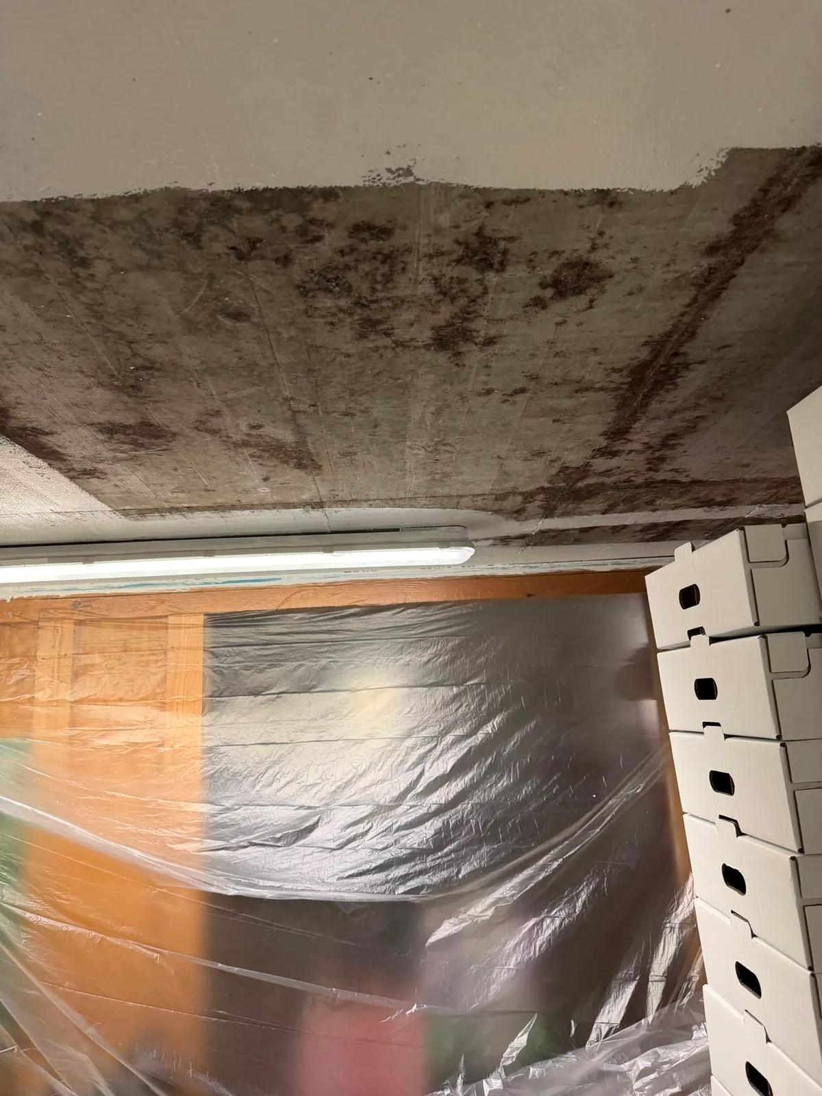 Plafond encrassé avant intervention, à côté d’une zone déjà traitée