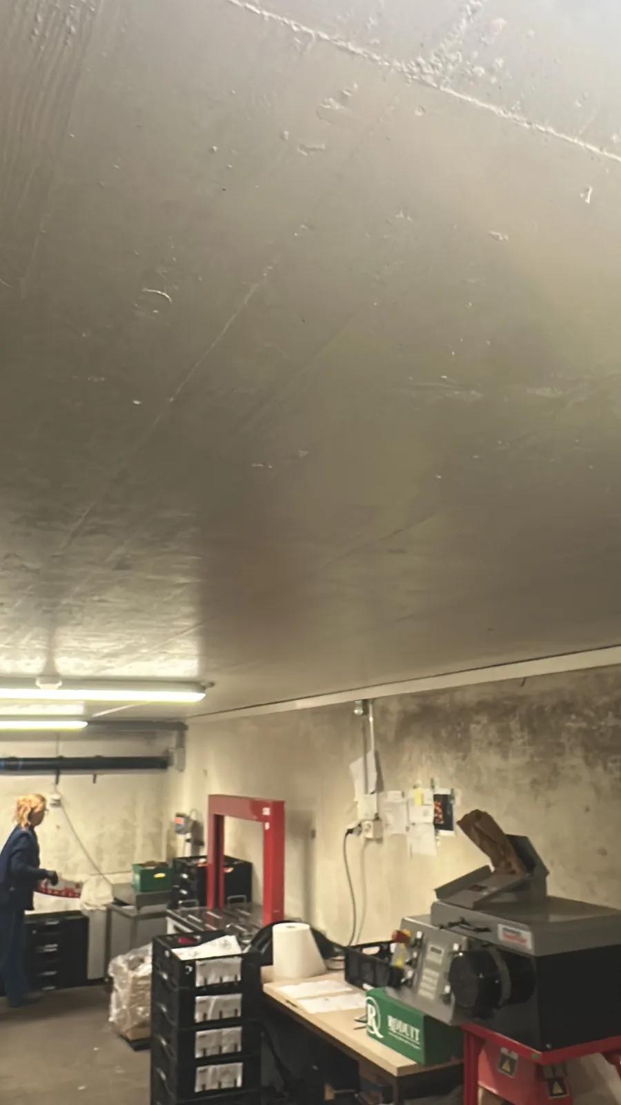 Plafond d'un local d'exploitation après remise en peinture